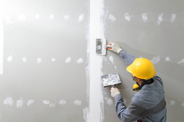 Best Comprehensive Air Testing for Mold Contaminants  in Keasbey, NJ